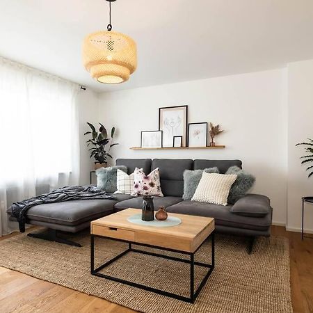 Luxury Apartment On The Rhein Busingen am Hochrhein ภายนอก รูปภาพ