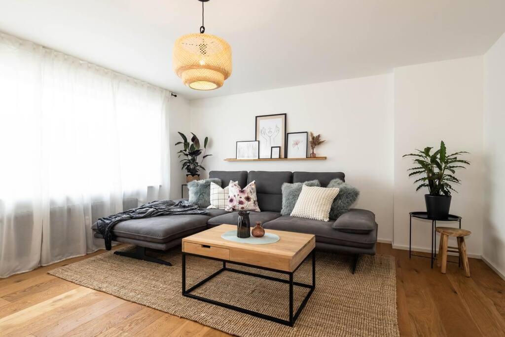 Luxury Apartment On The Rhein Busingen am Hochrhein ภายนอก รูปภาพ