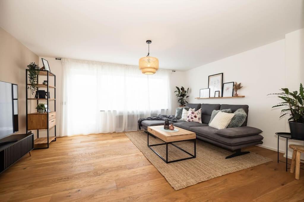 Luxury Apartment On The Rhein Busingen am Hochrhein ภายนอก รูปภาพ