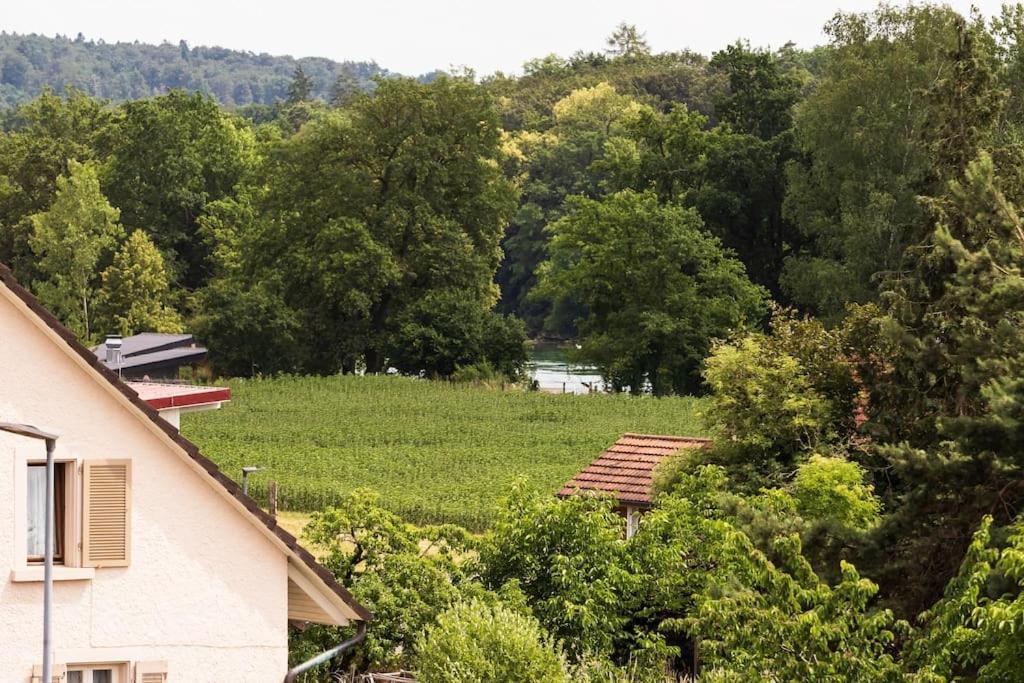 Luxury Apartment On The Rhein Busingen am Hochrhein ภายนอก รูปภาพ