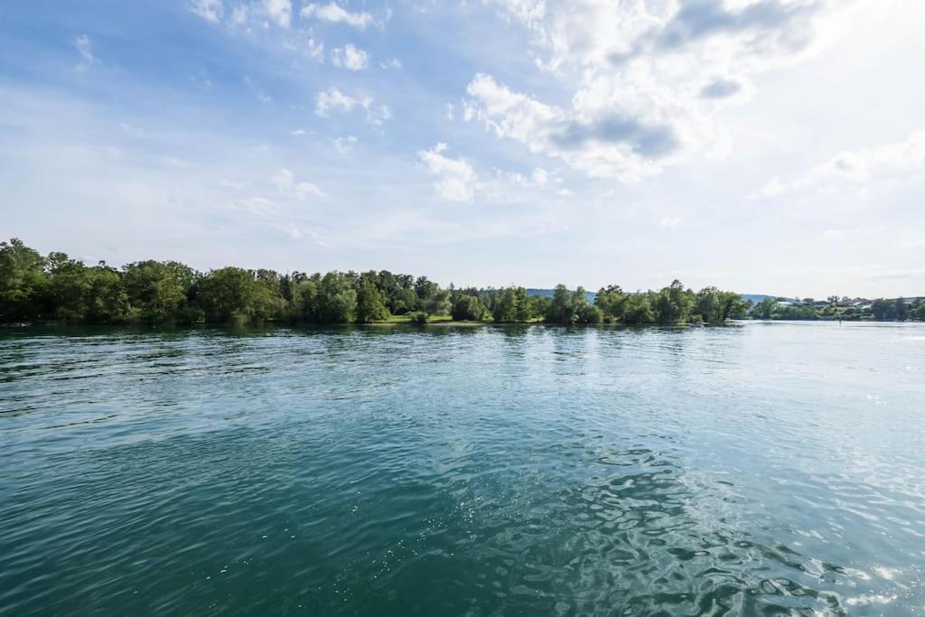 Luxury Apartment On The Rhein Busingen am Hochrhein ภายนอก รูปภาพ