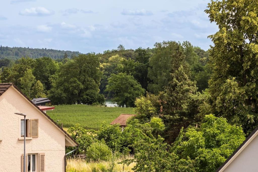 Luxury Apartment On The Rhein Busingen am Hochrhein ภายนอก รูปภาพ