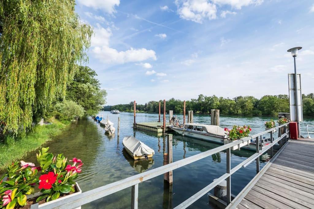 Luxury Apartment On The Rhein Busingen am Hochrhein ภายนอก รูปภาพ