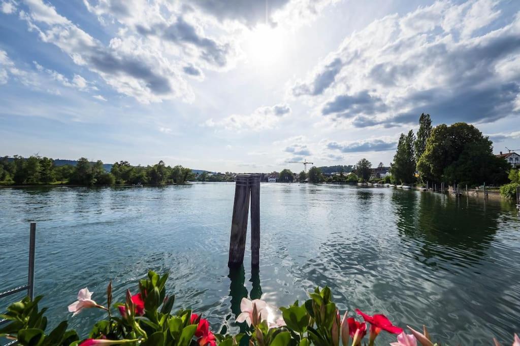 Luxury Apartment On The Rhein Busingen am Hochrhein ภายนอก รูปภาพ